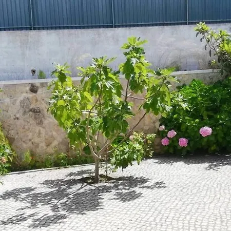 Vakantiehuis E - Moradia No Meco A 5min Da Com Jardim & Bbq