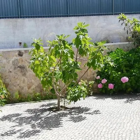 Vakantiehuis E - Moradia No Meco A 5min Da Com Jardim & Bbq *