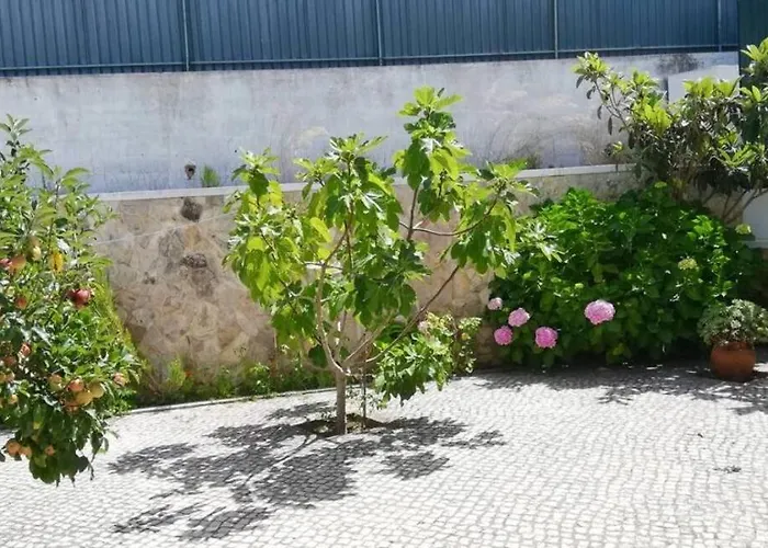 Prázdninový dům E By Dolcestay - V4 No Meco A 5min Da Com Jardim & Bbq